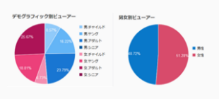 男女・年齢別の円グラフ